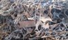 It Is Necessary For A Professional Foundry Person To Know This Scrap Knowledge!