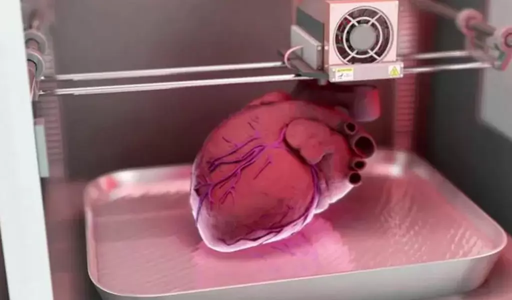 3DP Bioprinting Of Tissues And Organs