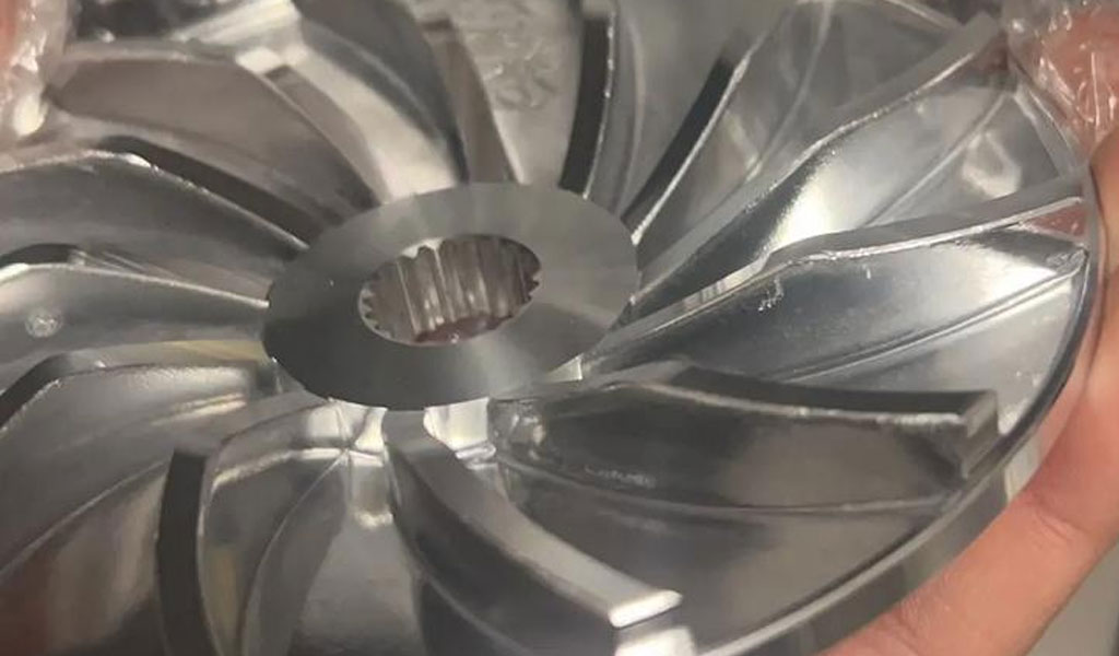 Material Considerations for Whole Leaf Disks