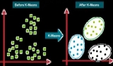 Homopolymers vs. Copolymers: A Comprehensive Analysis