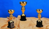 6 Different Ways To Make A Trophy